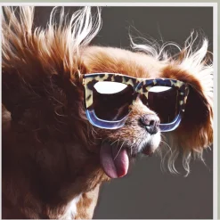 Karte Hund
