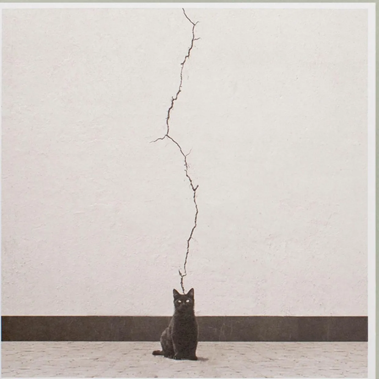 Karte Katze