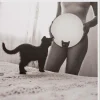 Karte Katze