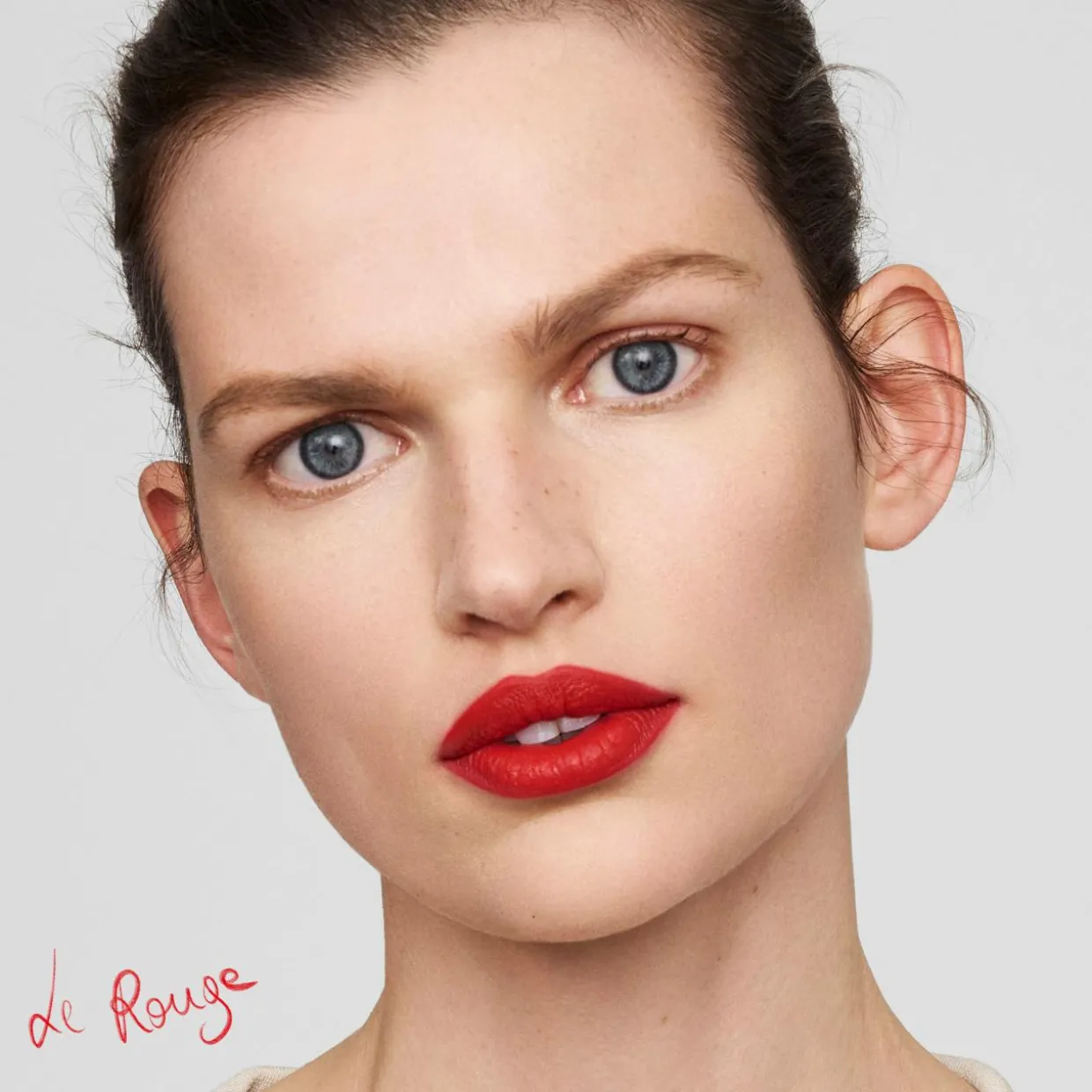 Lip Suede Matte Lipstick Le Rouge
