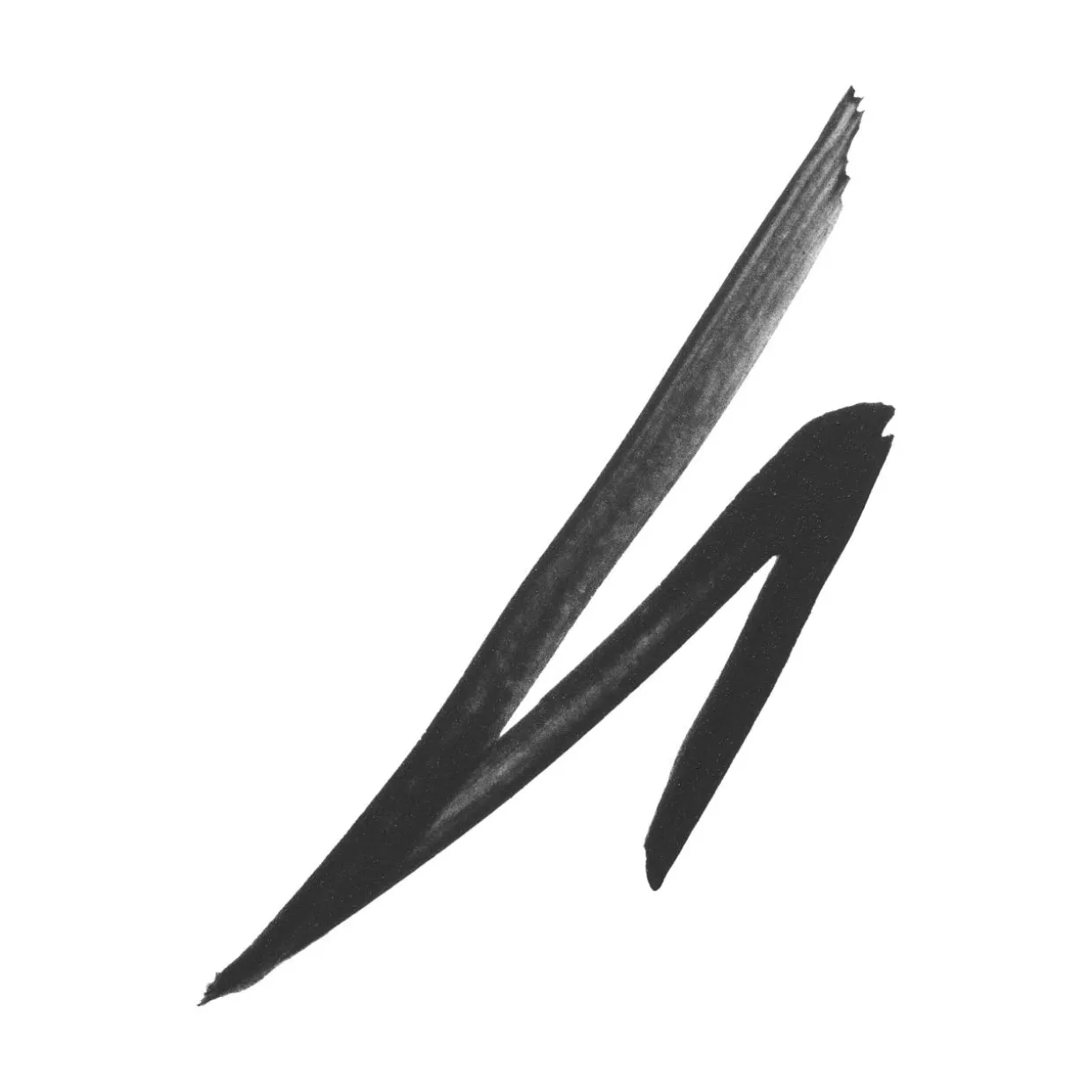 Liquid Eye Liner