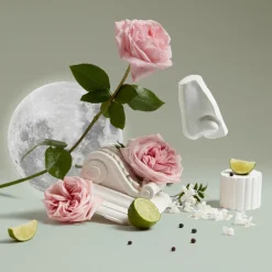 Luna Body & Hand Lotion
