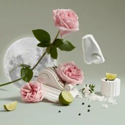 Luna Hand Cream