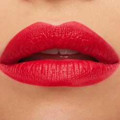 Macximal Matte Lipstick