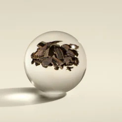 Mesmerising Oudh Accord & Gold