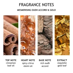 Mesmerising Oudh Accord & Gold Fine Liquid Hand Wash