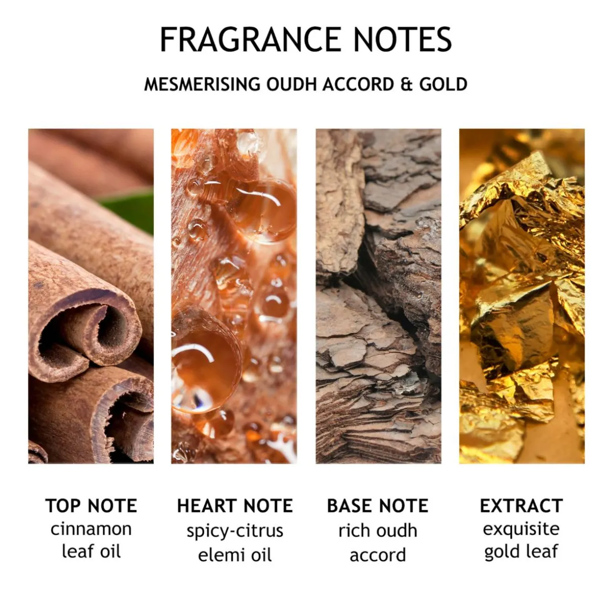 Mesmerising Oudh Accord & Gold Fine Liquid Hand Wash