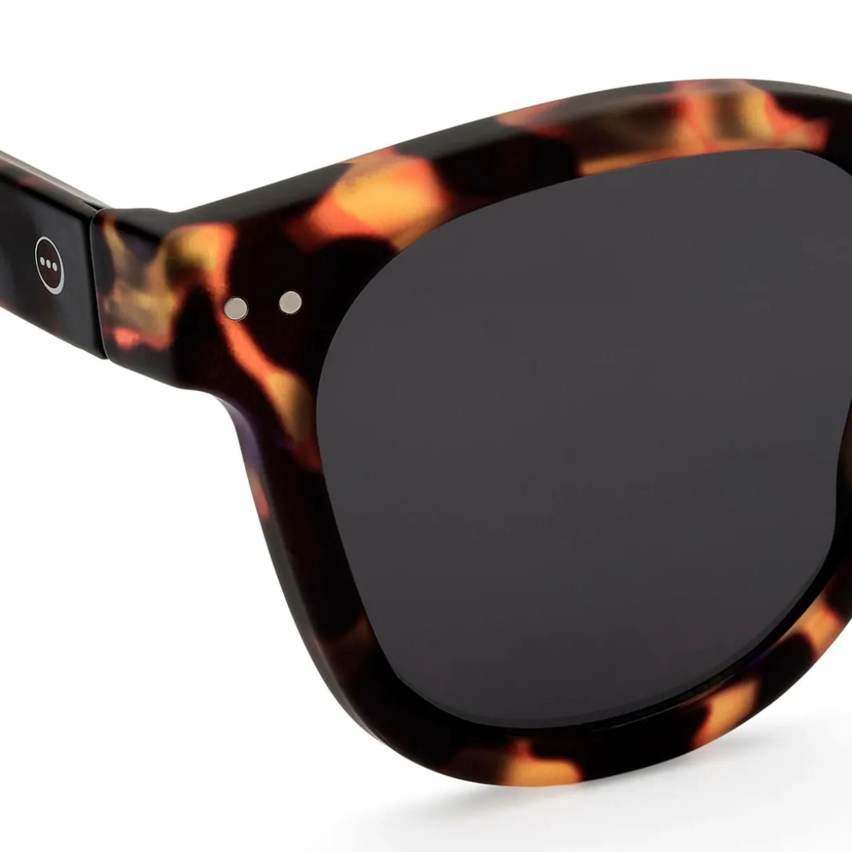 #N SUN Tortoise +0.00