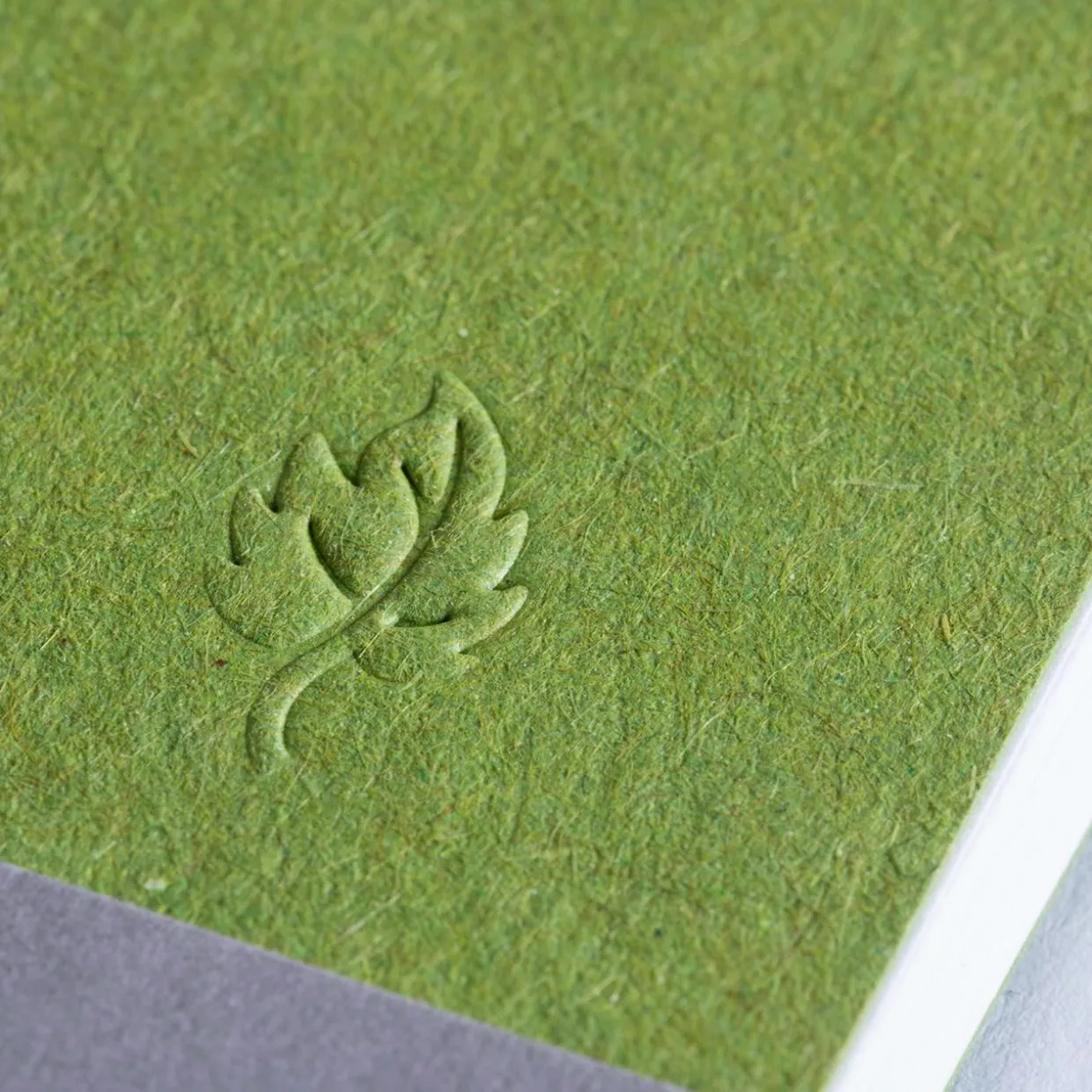 Notizbuch Cahier Olivine