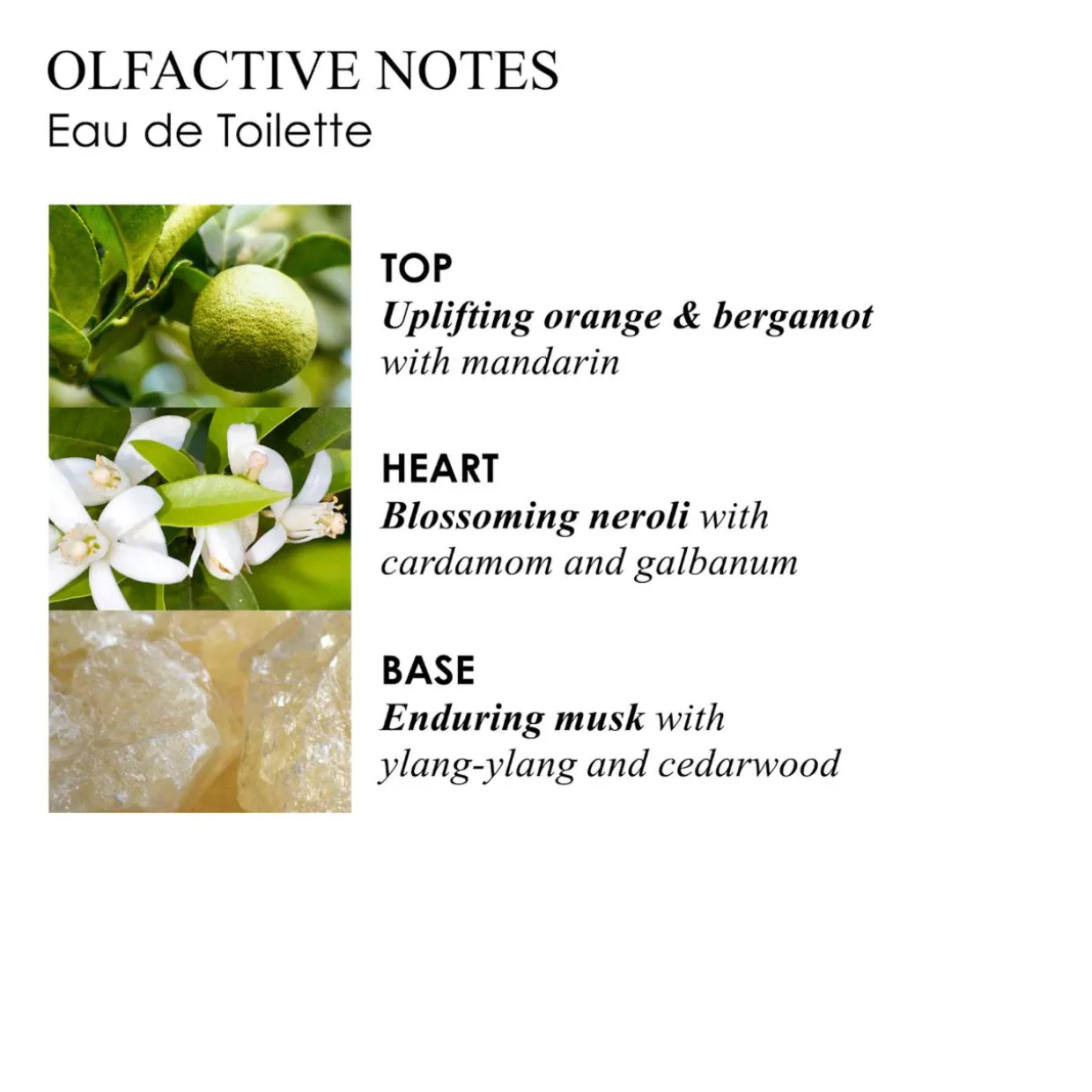 Orange & Bergamot