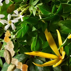 Orange & Bergamot Body Lotion