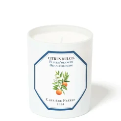 Orange Blossom