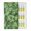 Phytoactive Anti-Oxidative Ampoules