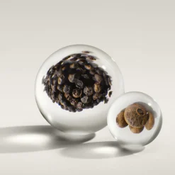 Re-charge Black Pepper