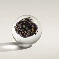 Re-charge Black Pepper