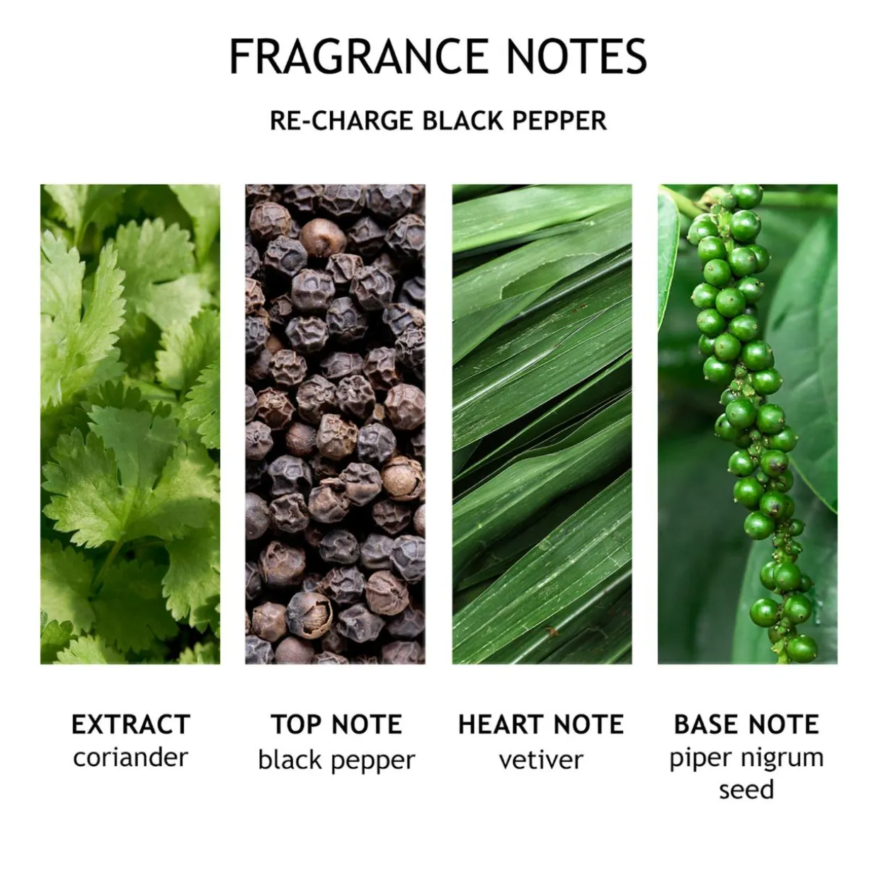 Re-charge Black Pepper Deodorant Stick