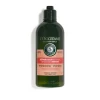 Repair Shampoo