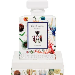 Room Diffuser A´mmare