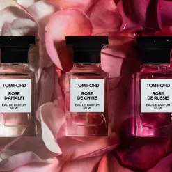 Rose de Chine