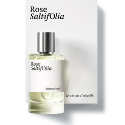 Rose Saltifolia