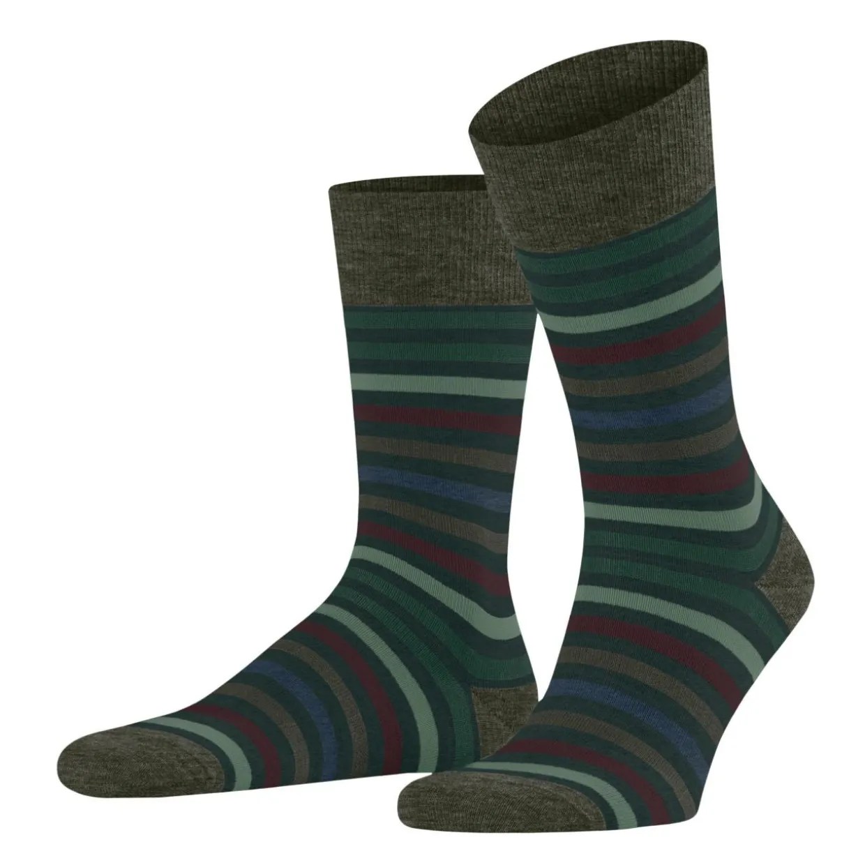Socke Tinted Stripe