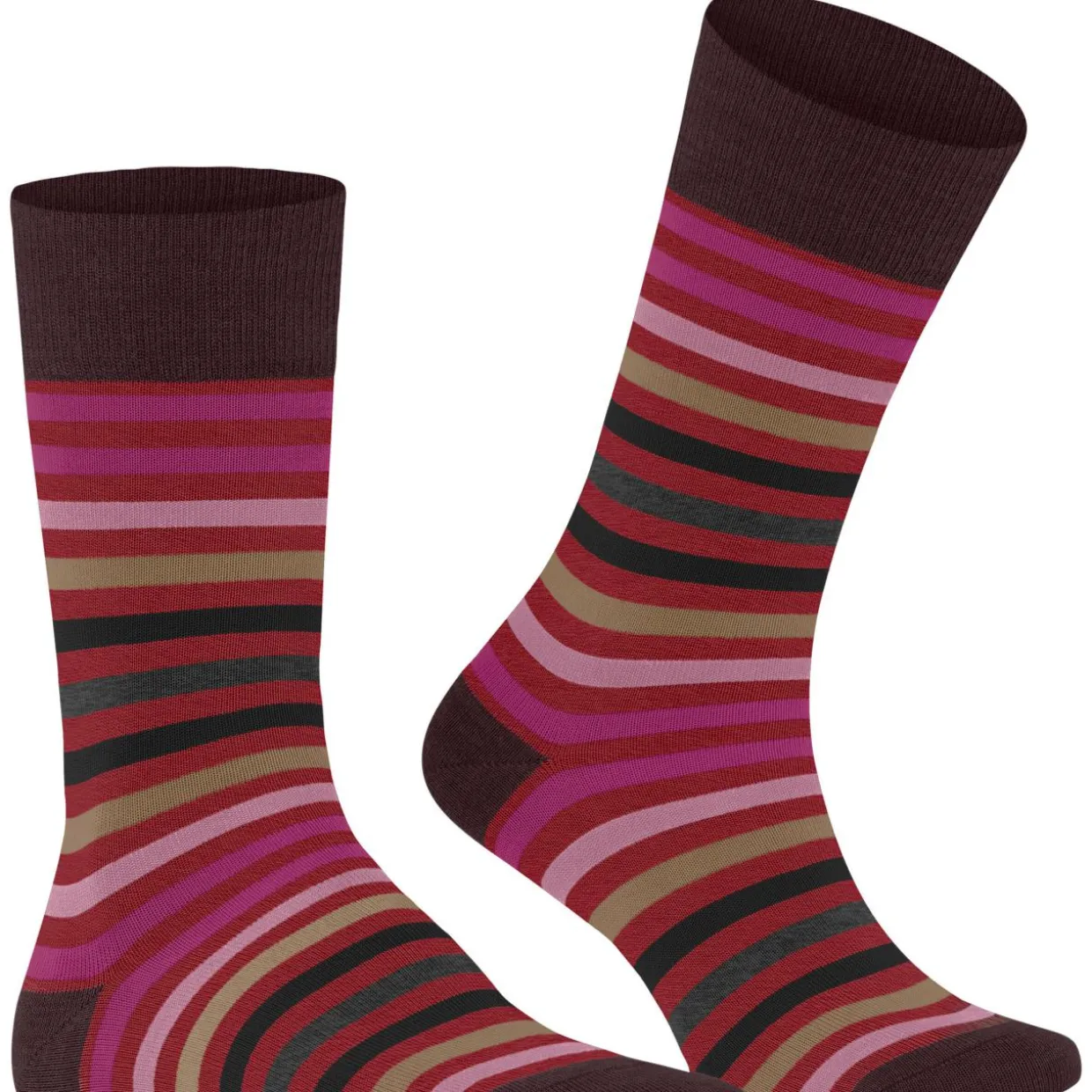 Socke Tinted Stripe