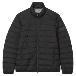 Steppjacke regular