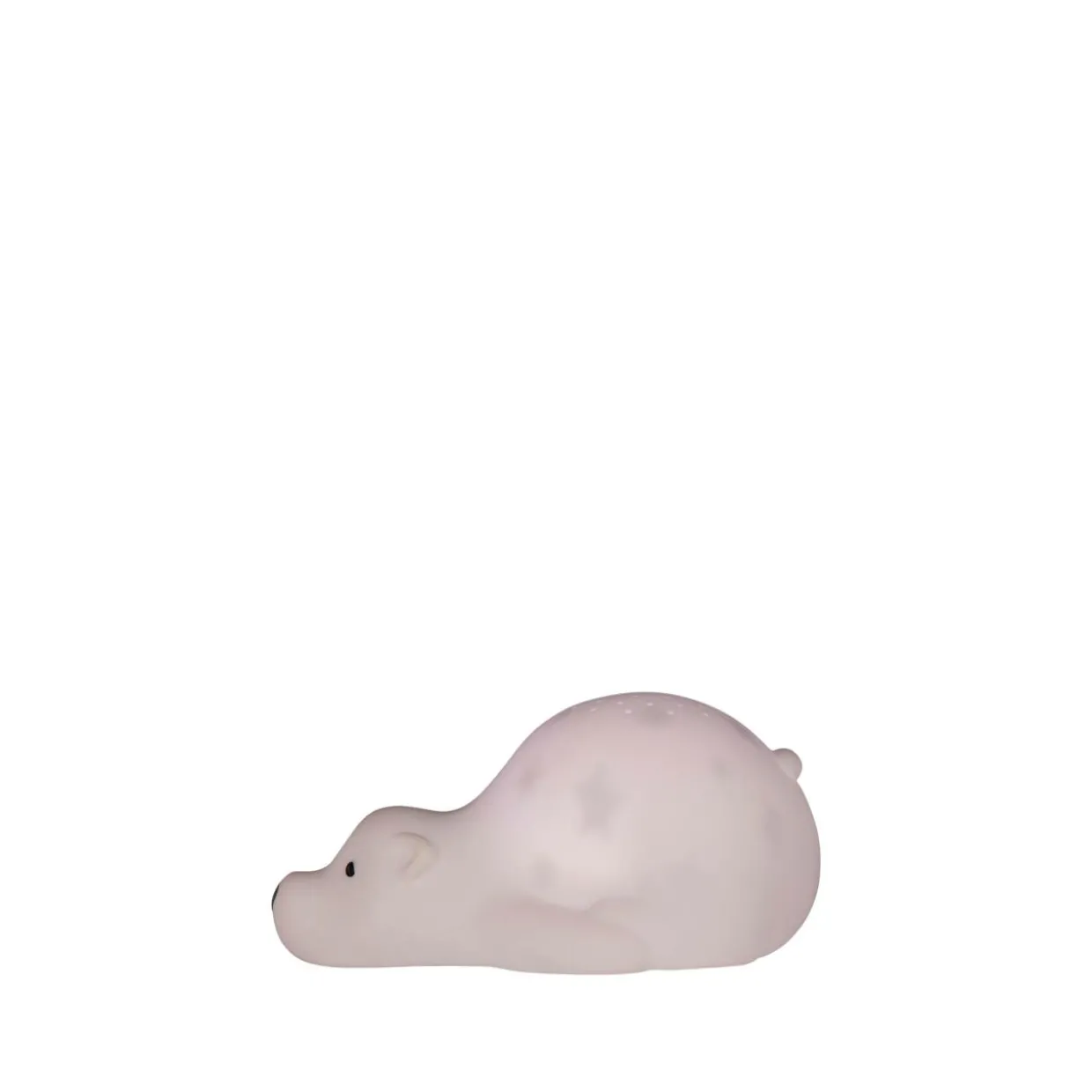Sternenprojektor Björn