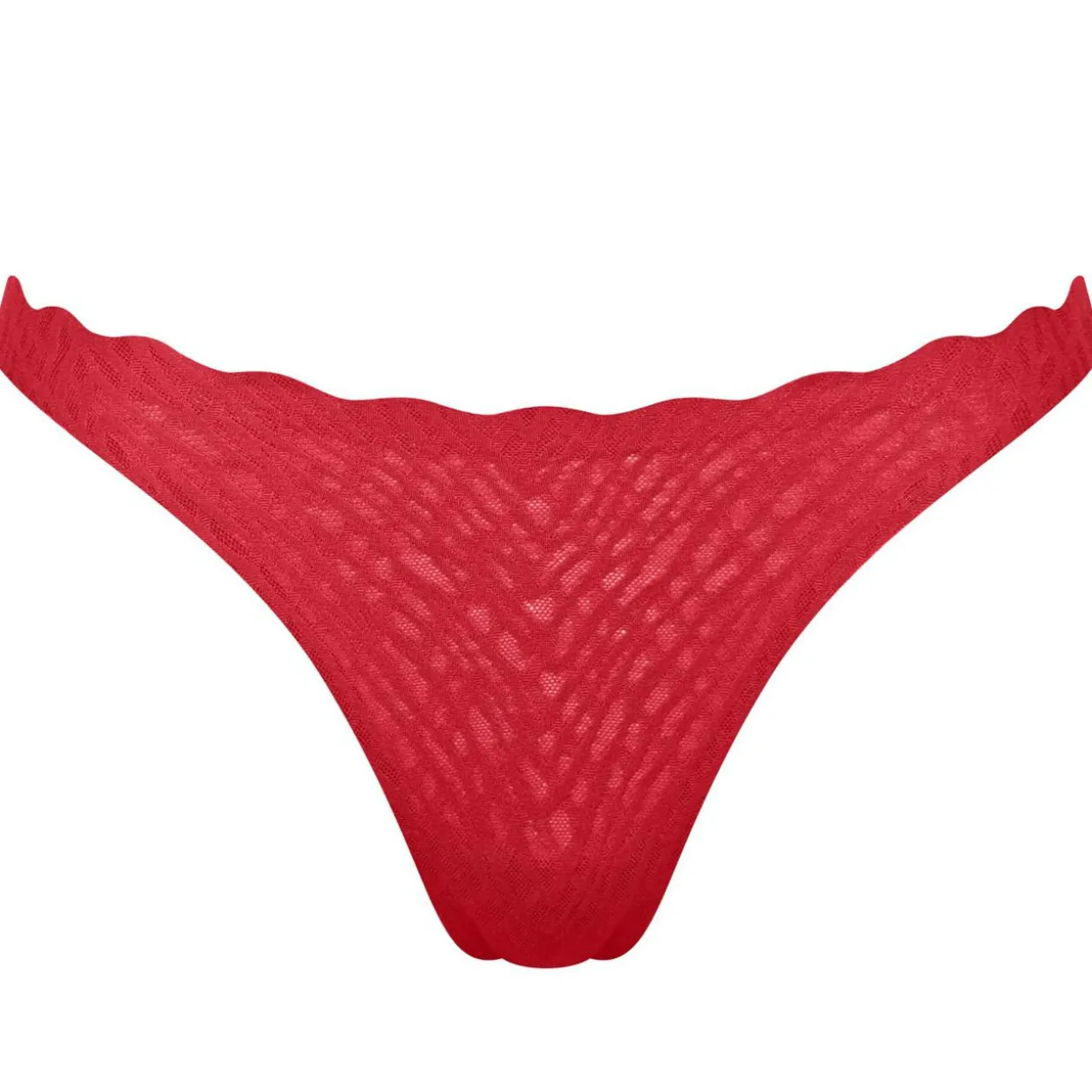 String ZERO Feel Bliss Festive