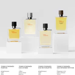 Terre d’Hermès Eau Givrée, Eau de Parfum