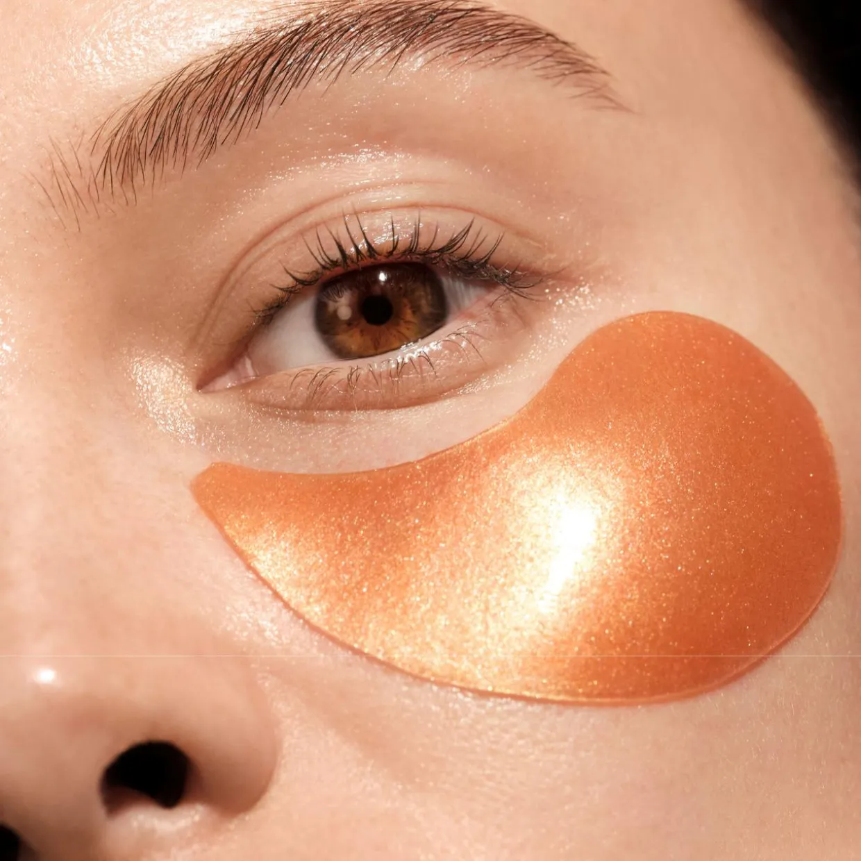 The Illuminating Collection