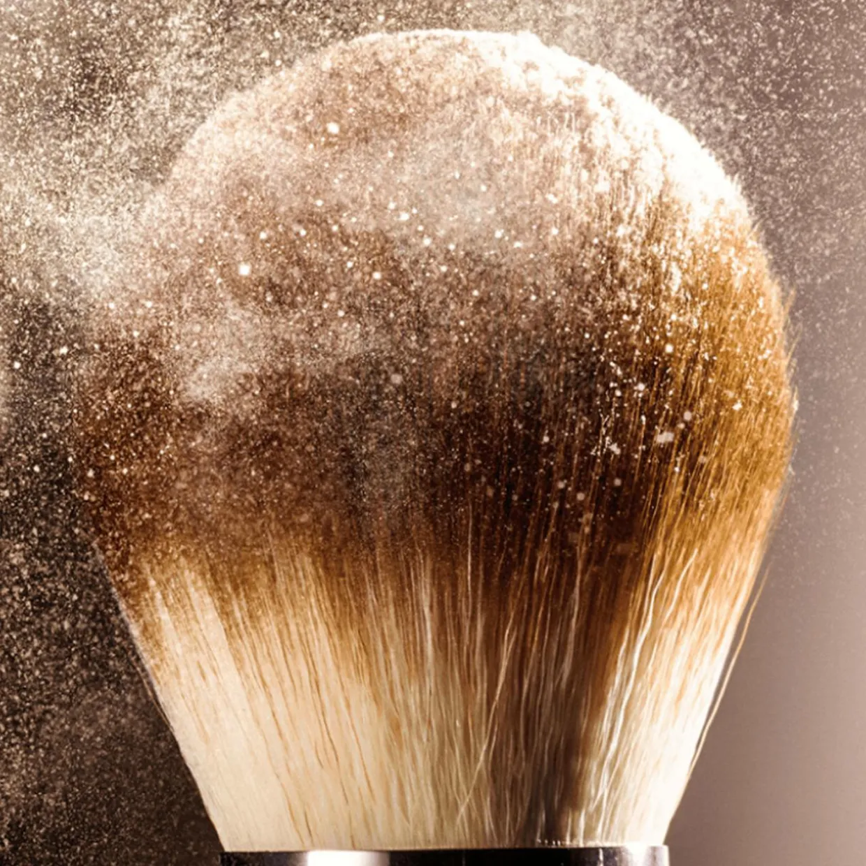 The Powder Brush