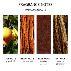 Tobacco Absolute Bath & Shower Gel