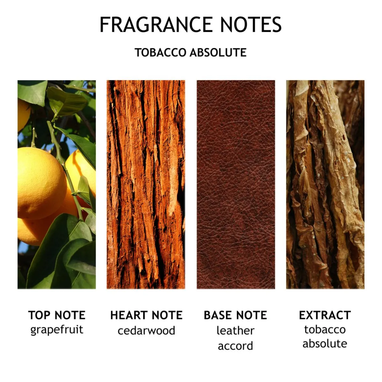 Tobacco Absolute Bath & Shower Gel