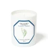 Tuberose