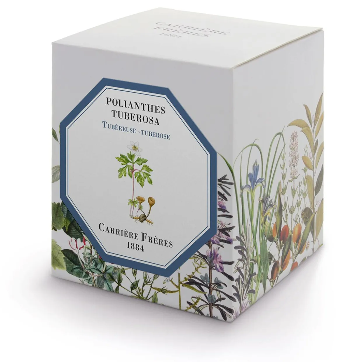 Tuberose