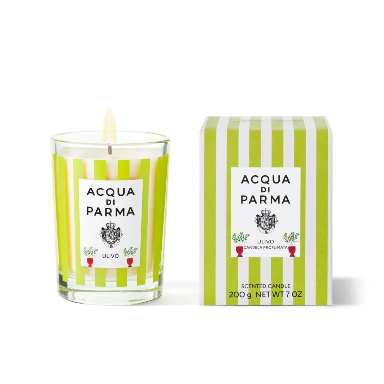 Ulivo Candle