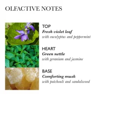 Volumising Conditioner With Nettle