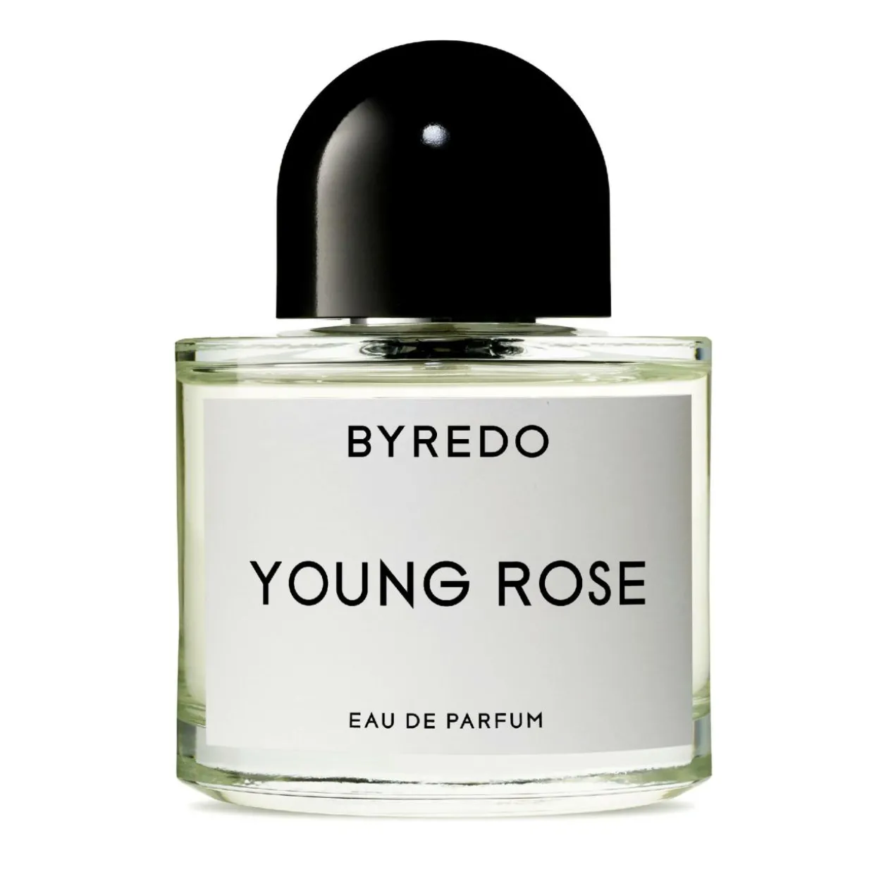 Young Rose
